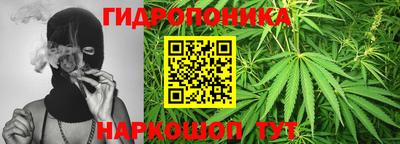 мдпв Кимры