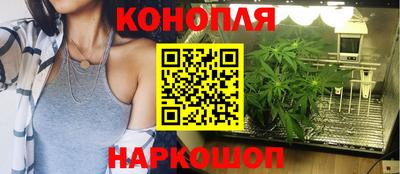 мескалин Кингисепп