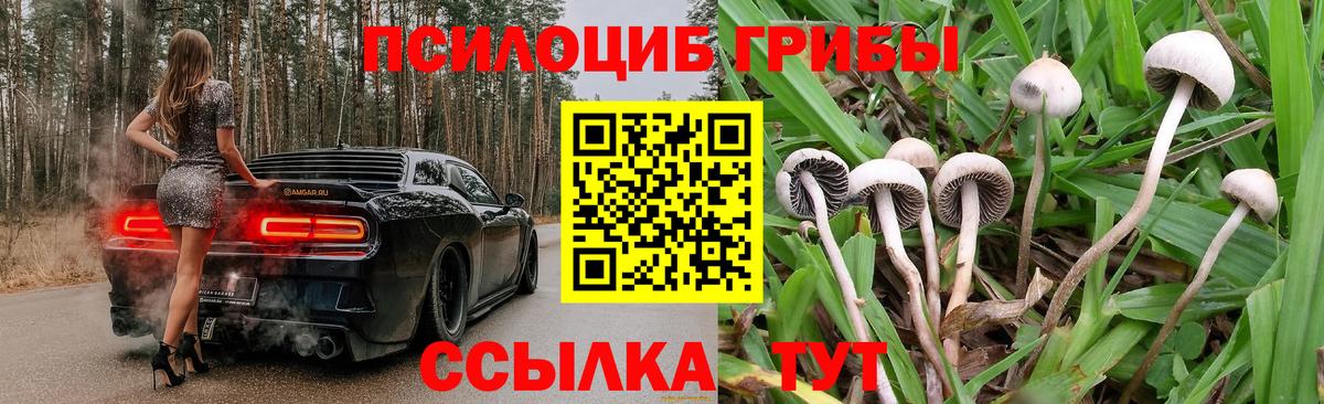 Галлюциногенные грибы MAGIC MUSHROOMS  Вход с VPN  Комсомольск-на-Амуре 