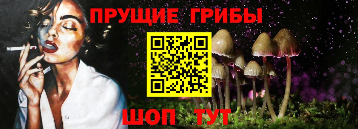 Галлюциногенные грибы мицелий Комсомольск-на-Амуре
